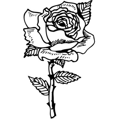FLOWER04 Thumbnail