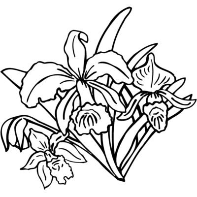 FLOWER18 Thumbnail